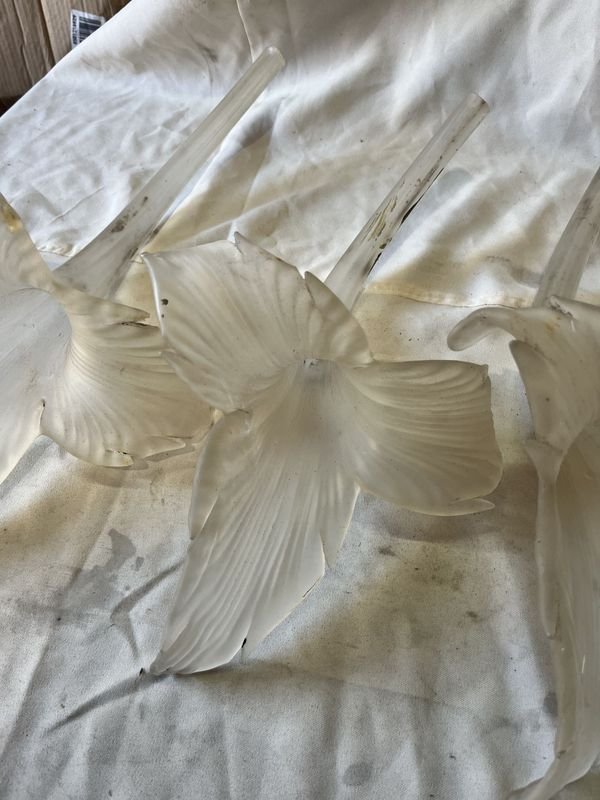 Item 883979 - Image 3