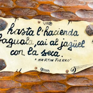 Lote de 4 piezas: 2 libros "Ensayo de Historia Patria", organizador de madera y cartel "Martín Fierro" - imagen 5