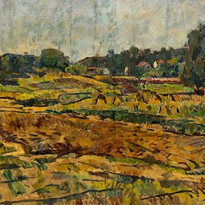 Oleo "Paisaje de Chacras" de Augusto Torres, 55 x 70 cm - imagen 1