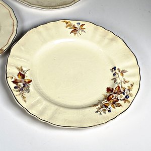 Seis Platos de Loza Inglesa y un Plato Argentino Decorado - imagen 7