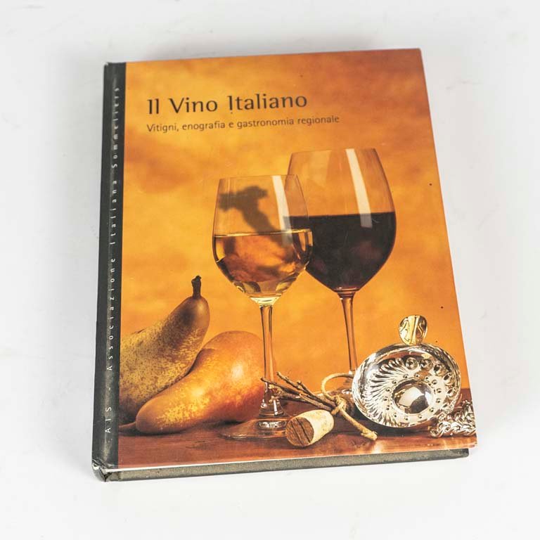 Libro sobre vino italiano con textos en italiano