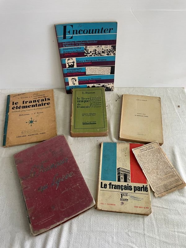 Lote de Libros Antiguos y Revistas en Francés