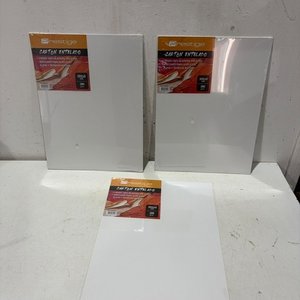 Lote anterior: 3 Cartones Entelados Prestige para Pintura
