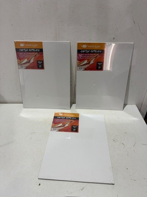 3 Cartones Entelados Prestige para Pintura