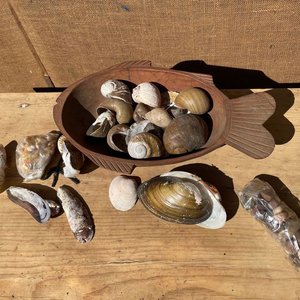FUENTE DE PESCADO DE MADERA LLENA DE CARACOLES - imagen 2