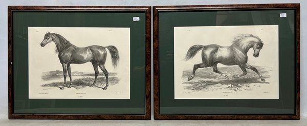 Lote anterior: Dos pinturas de caballos en blanco y negro