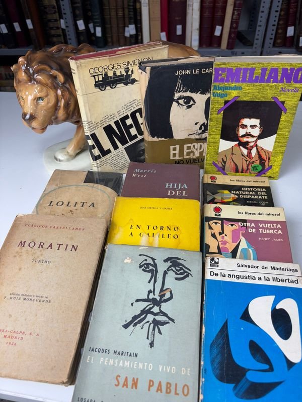 Lote anterior: Selección de Novelas Famosas en Español