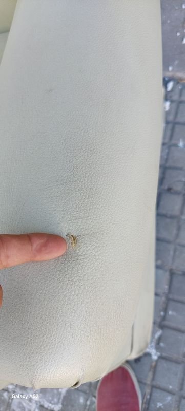 Item 847195 - Image 5