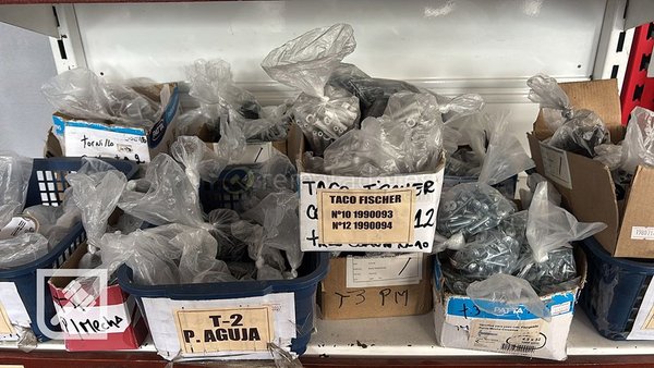 Lote de Tacos Fischer y Tornillos para Construcción