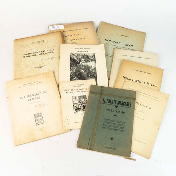 Lote de 9 Librillos Temáticos Varios - imagen 1