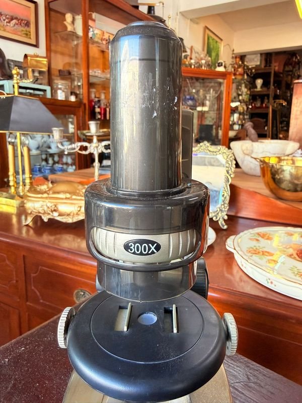 Item 881673 - Image 3