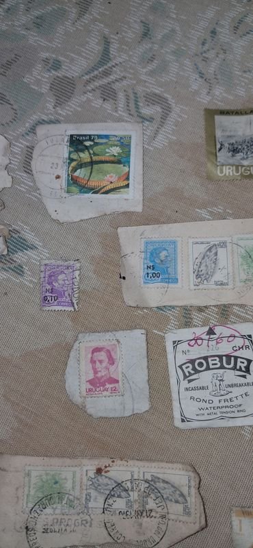 Item 880833 - Image 6