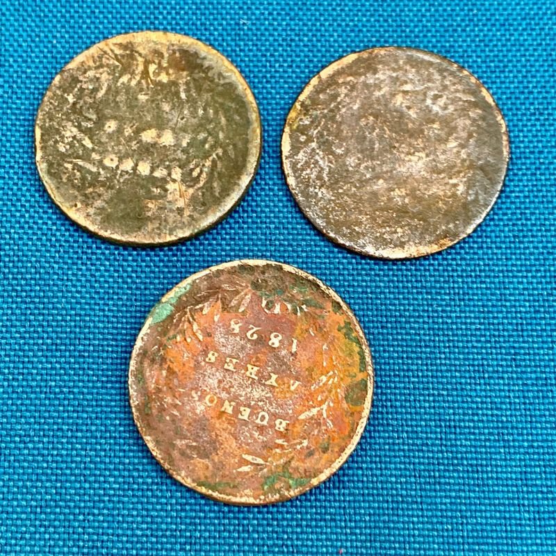 Item 877185 - Image 1