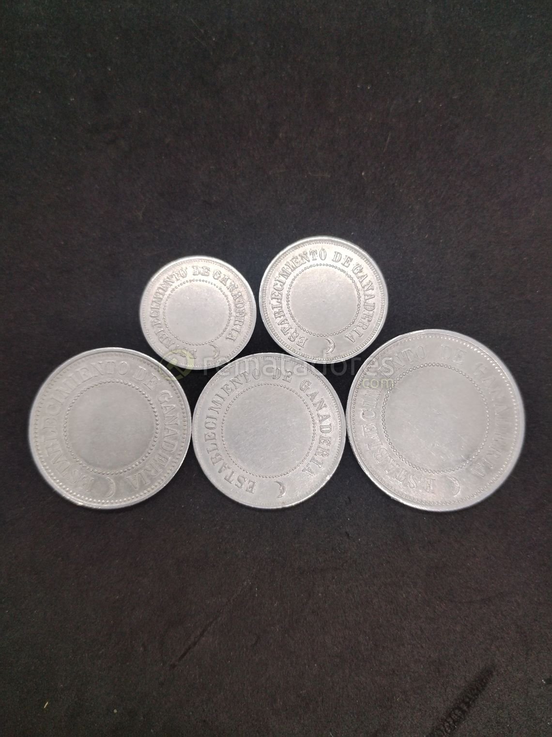 Conjunto de 5 Monedas de Colección "Establecimiento de Ganadería"