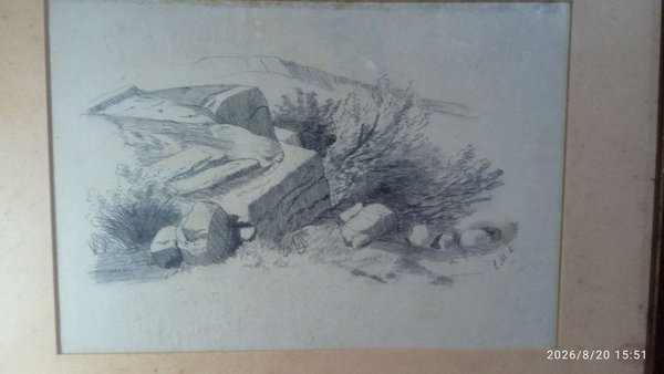 Dibujo a Lápiz de Paisaje Natural con Firma "E.M.L." - imagen 1