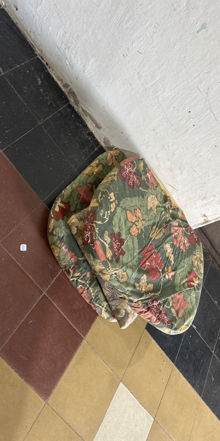 Dos Almohadones Estampados con Flores