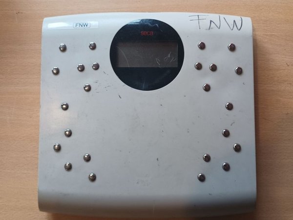 Balanza Seca Digital con Braille y Etiqueta FNW - imagen 1
