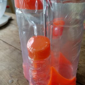 Lote anterior: Aceitera de Plástico con Tapa Naranja