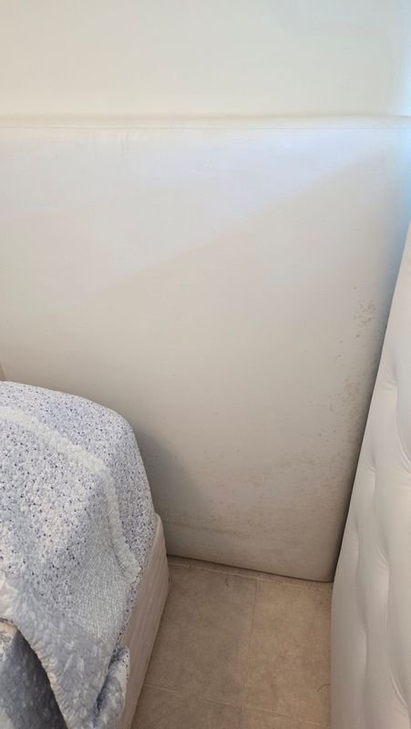 Item 912335 - Image 2