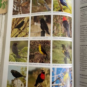 Lote de Libros sobre Aves del Río de la Plata y Uruguay - imagen 4