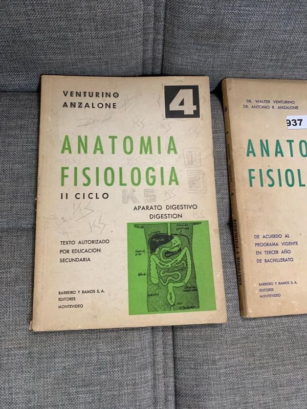 Item 898194 - Image 2