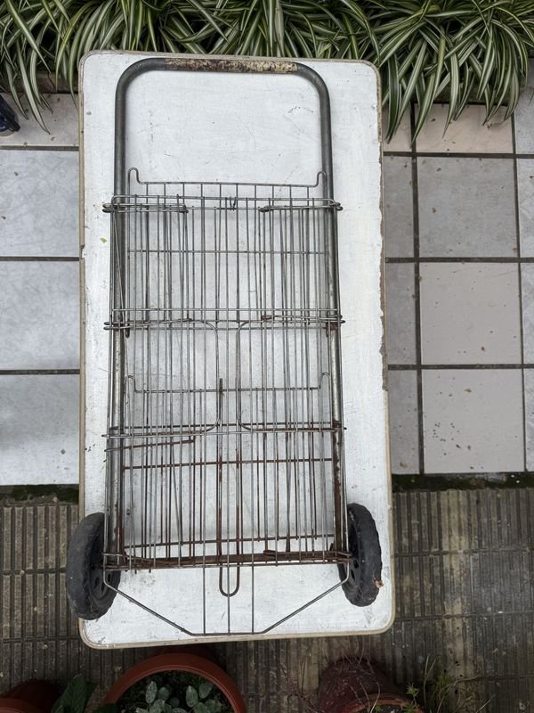 Carrito de Compras Metálico Plegable con Ruedas