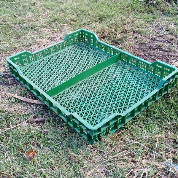 Lotes de cajas plásticas para cosecha - imagen 5