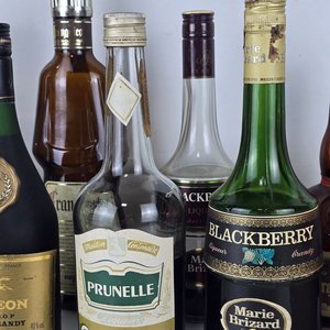 Lote de Botellas de Bebidas Alcohólicas Variadas: Empezadas y Vacías - imagen 6
