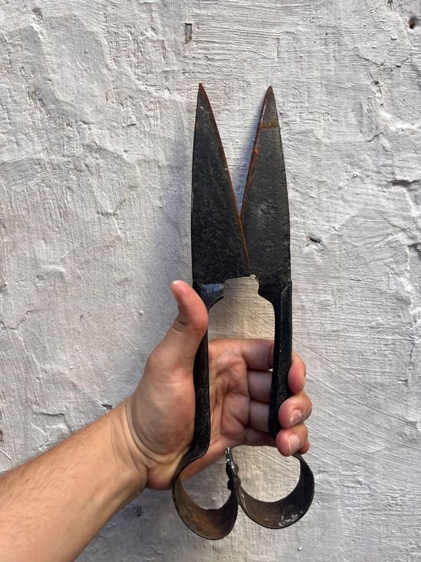 Lote anterior: Tijeras de Esquila Usadas