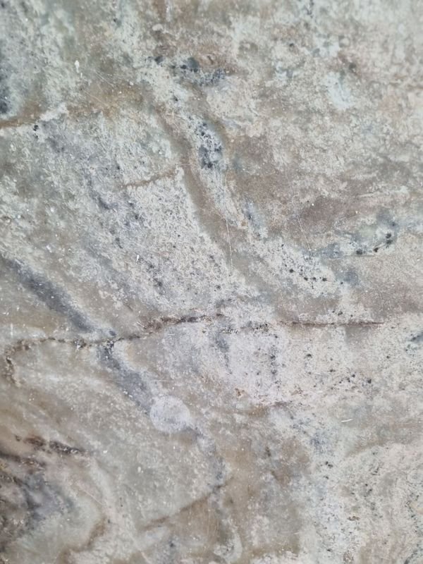 Item 866796 - Image 2