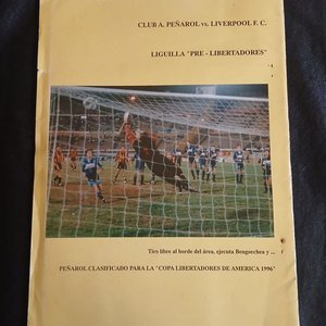 Memoria y Balance Club Atlético Peñarol - Ejercicio 1995 Documento Oficial - imagen 5