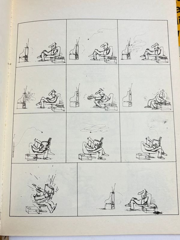 Colección de libros de Asterix, Mafalda y Peanuts - imagen 11