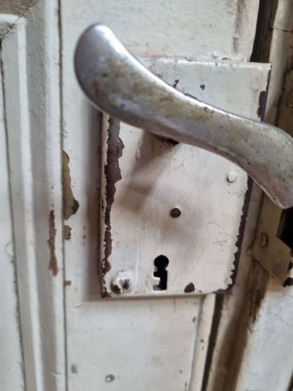 Item 869457 - Image 2