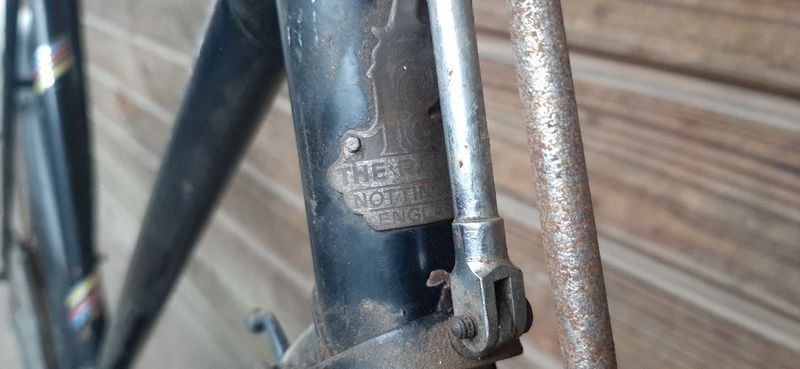 Bicicleta de Dama Vintage con Freno de Varilla y Llantas Ancha - imagen 3