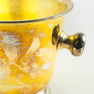 Champagnera de 19 cm - imagen 3