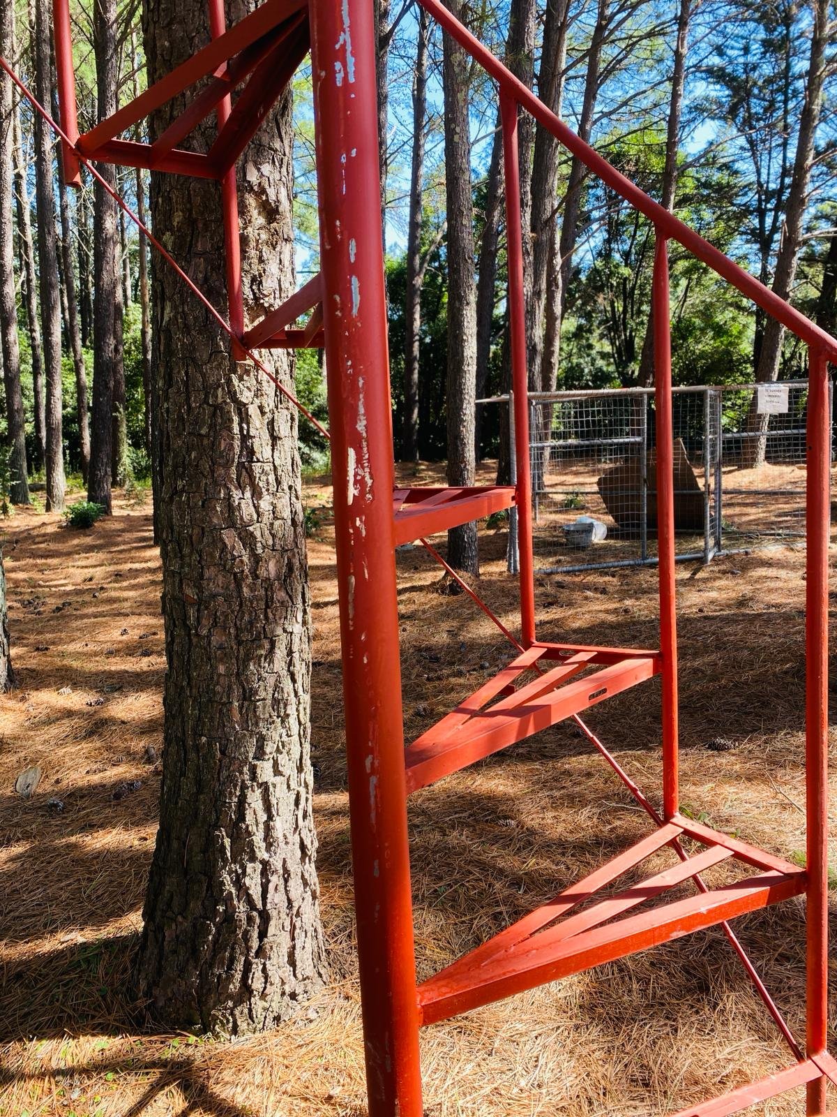 Escalera Caracol de Hierro Roja - 2.65m Alto