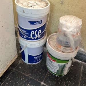 Lote anterior: Latas de Pintura y Antihongos para Exteriores