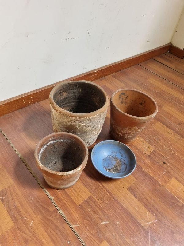 Item 854615 - Image 0