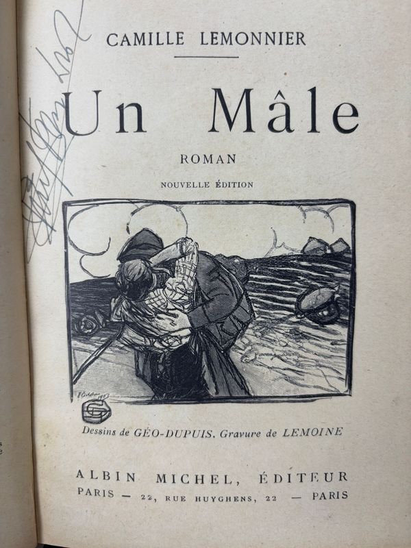 Novelas en Francés de Reconocidos Autores, Víctor Hugo y Más - imagen 4