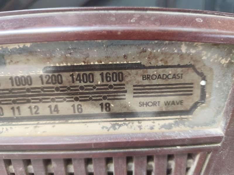 Item 866970 - Image 2