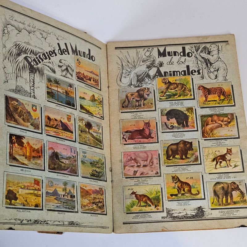 Item 880415 - Image 4