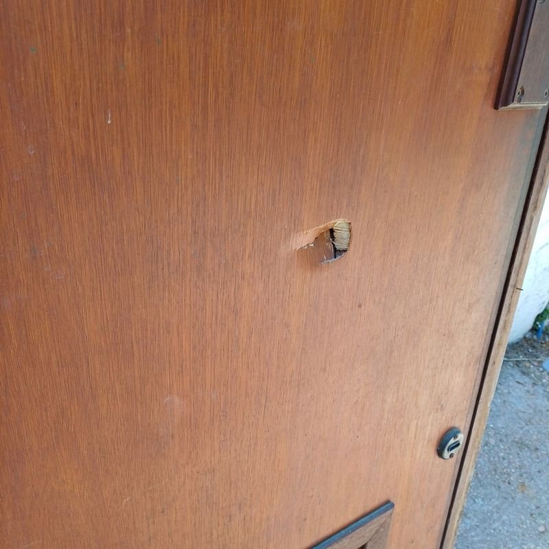 Puerta de contrachapado de cedro con marco en cedro y brazo hidráulico - imagen 4