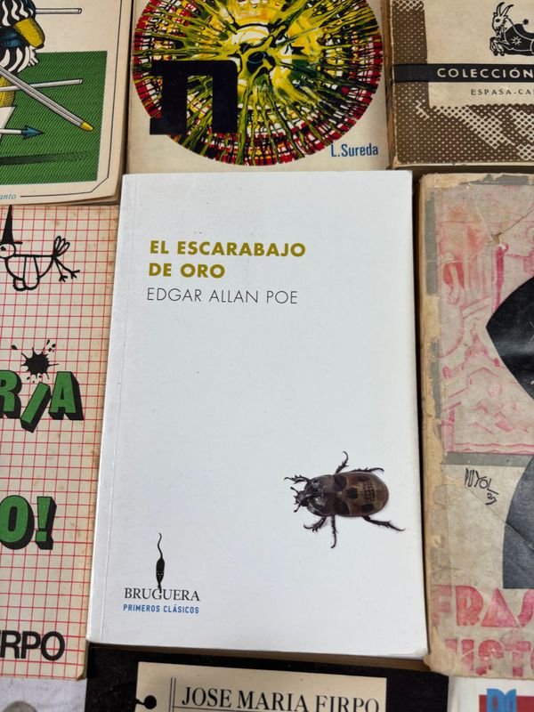 Colección de libros clásicos y fantásticos en español - imagen 4