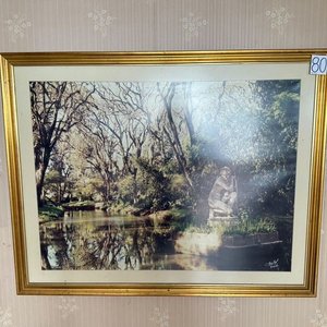 Cuadro con Lámina del Parque Solari y Marco Dorado - imagen 1