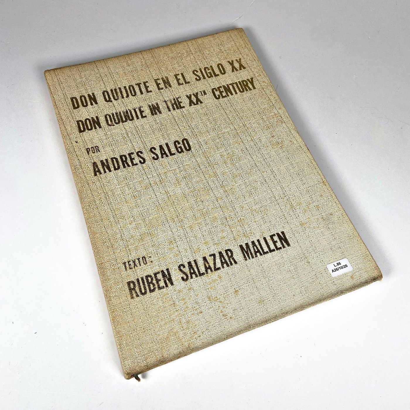 Libro "Don Quijote en el Siglo XX" por Andrés Salgo