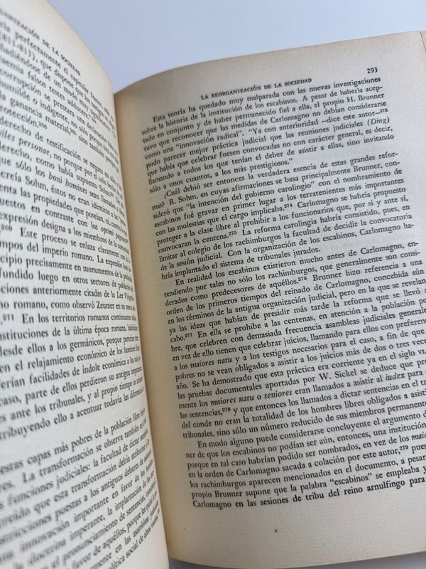 Libro de Economía y Sociedad Europea por Alfonso Dopsch - imagen 5