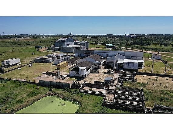 Item 31745 - Image 0