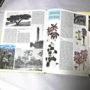 Lote de 5 piezas: Lámpara de escritorio, libro Atlas Universal, 2 relojes de pared y cartera de cuero - imagen 2