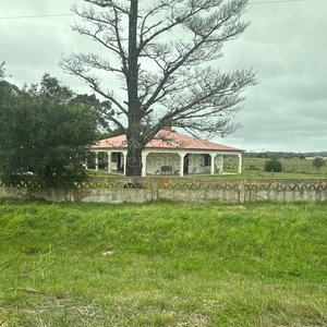 Remate de Campo en Palermo, Uruguay - imagen 3