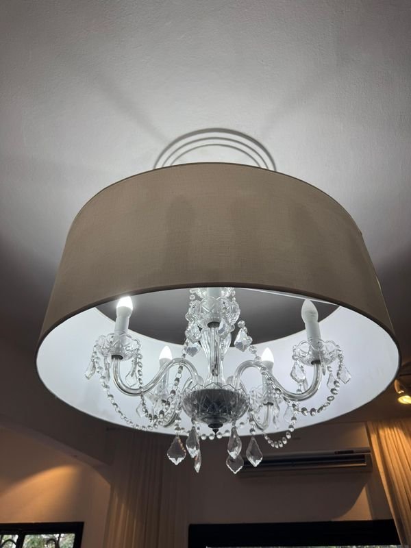 Item 829252 - Image 1